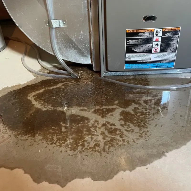 Pipe Burst and Leak Restoration in Caddo County, OK